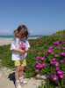 bloemen plukken op het strand
